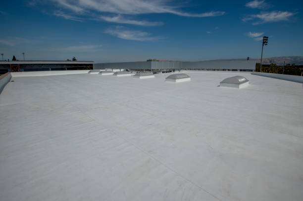 Best Metal Roofing Installation  in Seth Ward, TX