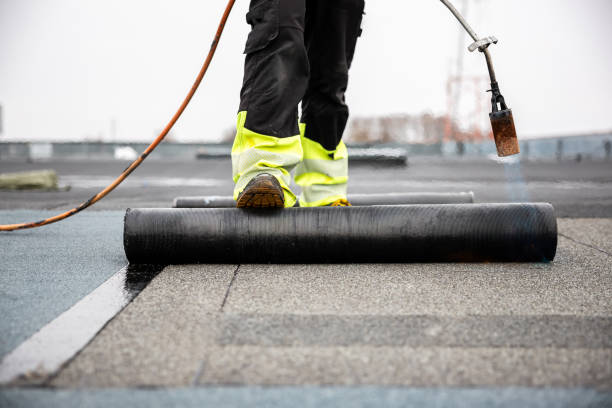 Best Asphalt Shingles Roofing  in Seth Ward, TX