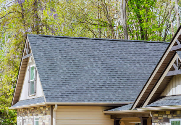 Best Skylight Installation and Repair  in Seth Ward, TX