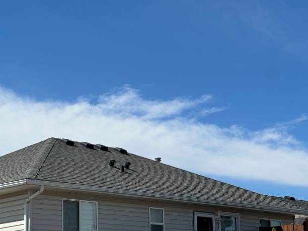 Best Green or Eco-Friendly Roofing Solutions  in Seth Ward, TX